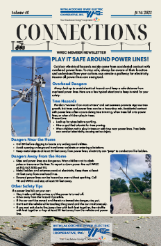 June Newsletter 2025