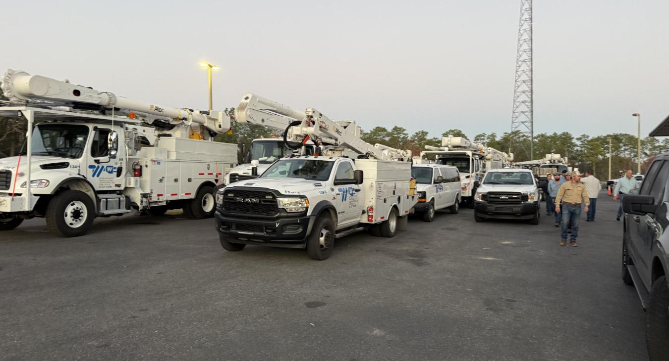 Mutual Aid in Action!