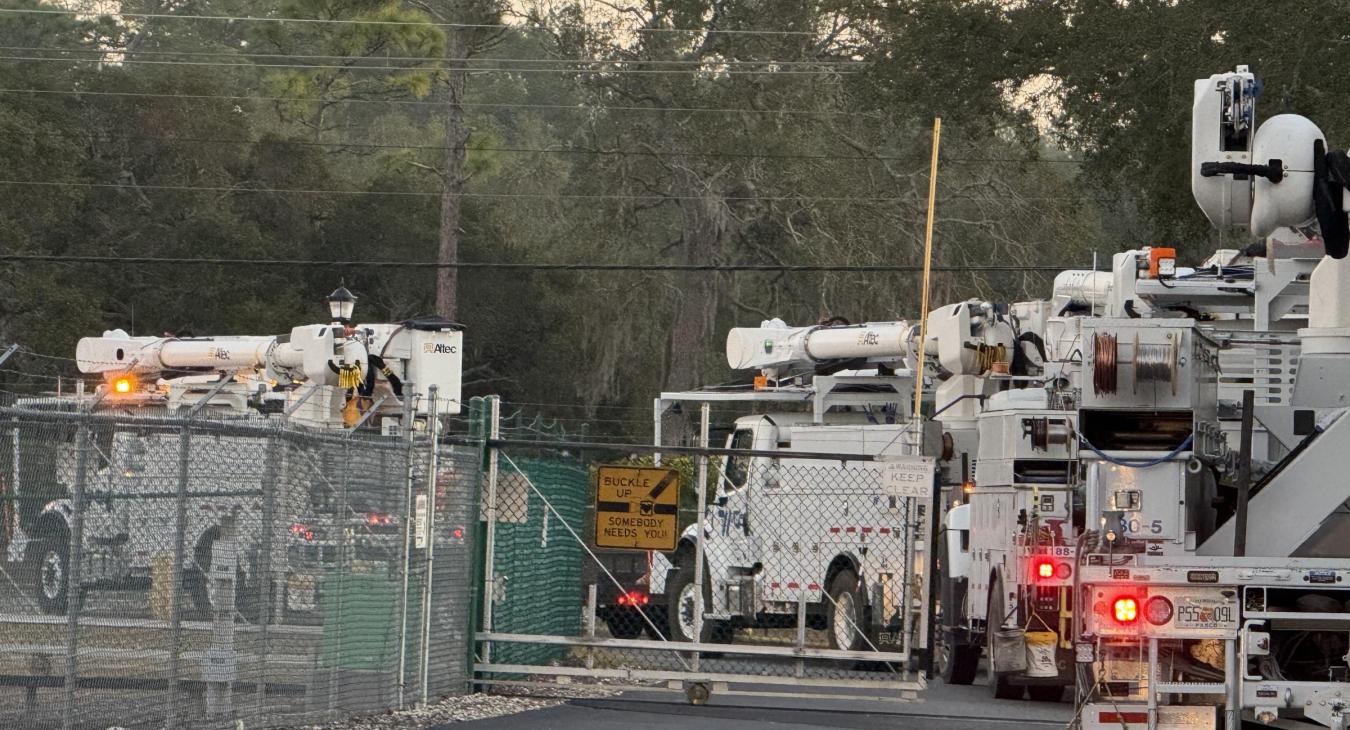 Mutual Aid in Action!