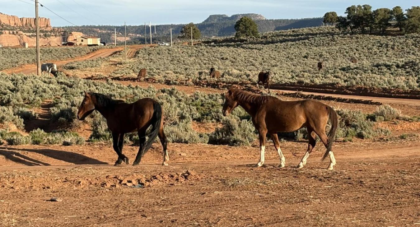 The Land of Navajo Nation