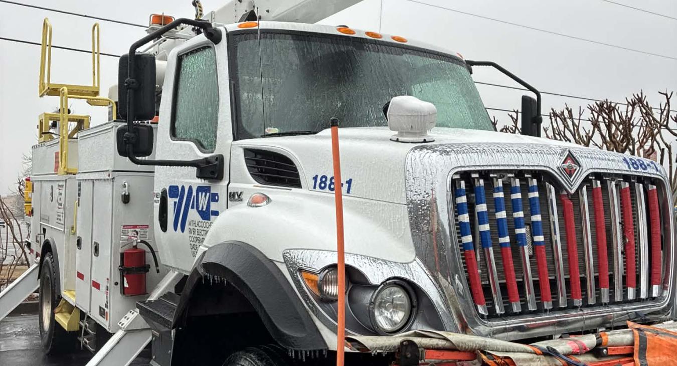 Mutual Aid Update from Georgia