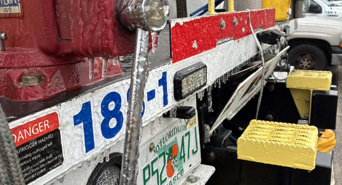 Mutual Aid Update from Georgia