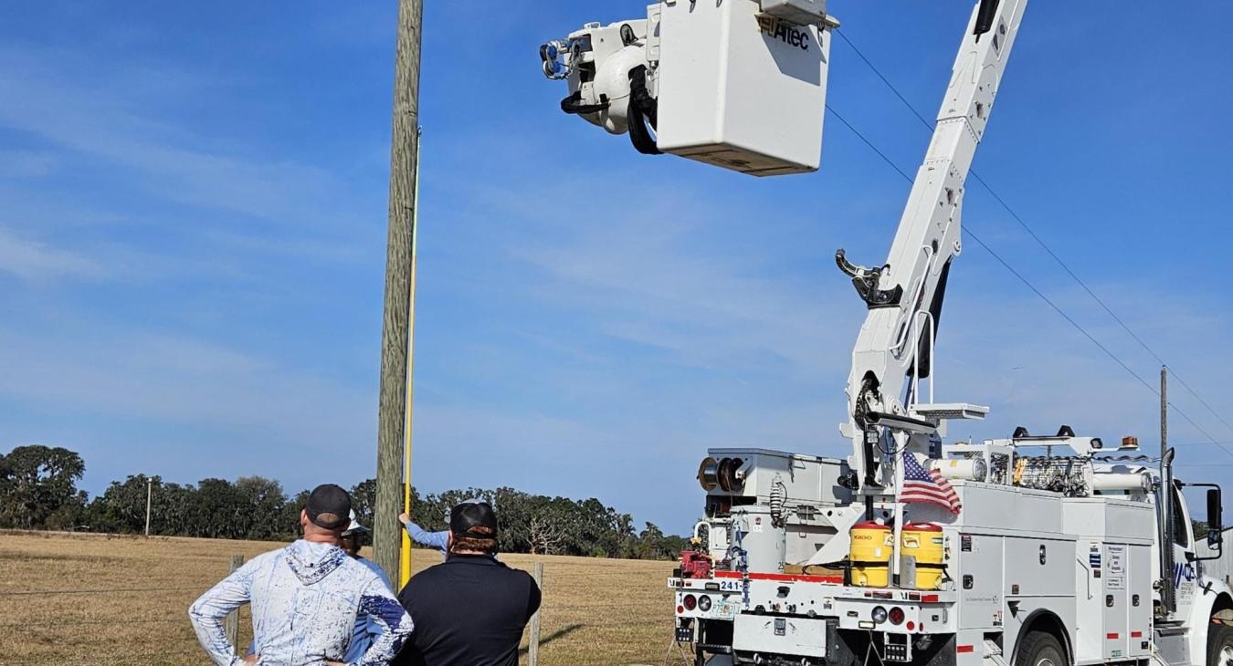 WREC Partners with ELAMP to Install Kestrel Bird Boxes