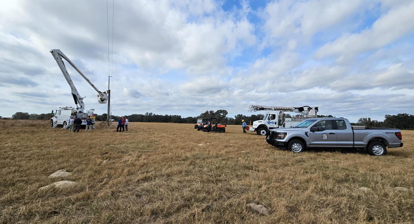 WREC Partners with ELAMP to Install Kestrel Bird Boxes